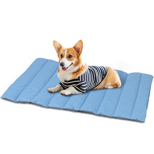 Big Dog Waterproof Travel Mat — 48 in.